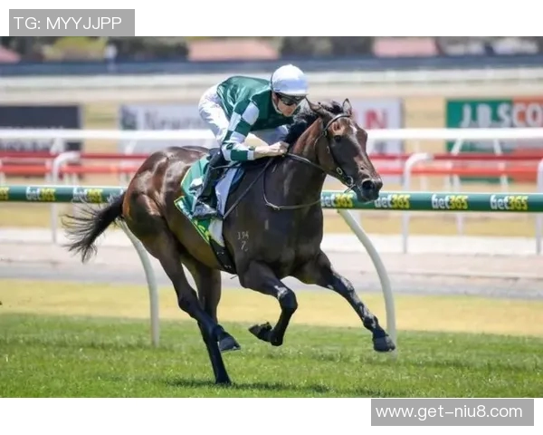 长马赛事精彩对决173号选手展现非凡实力与风采