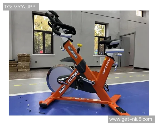 全面了解健身器材的种类与功能图解助你选择适合的健身装备